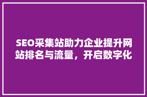 SEO采集站助力企业提升网站排名与流量，开启数字化营销新篇章