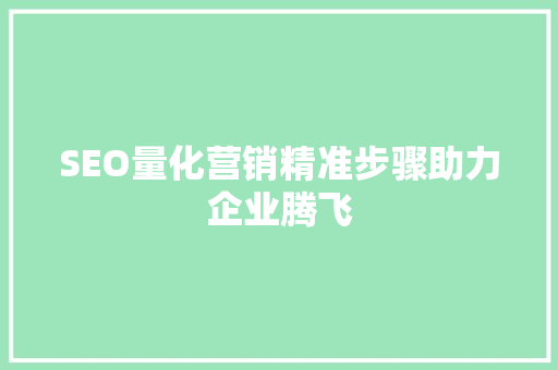 SEO量化营销精准步骤助力企业腾飞