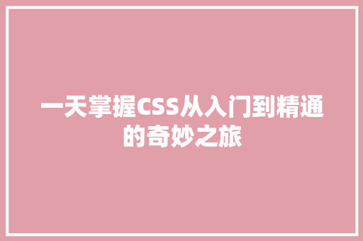 一天掌握CSS从入门到精通的奇妙之旅