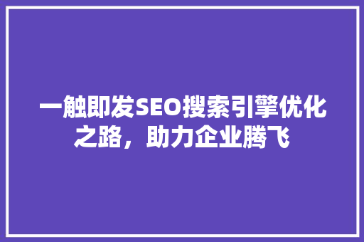 一触即发SEO搜索引擎优化之路，助力企业腾飞