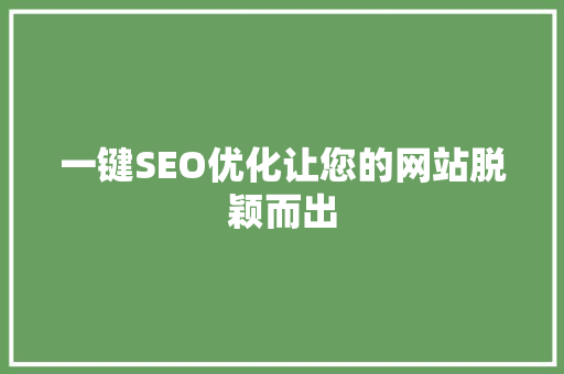 一键SEO优化让您的网站脱颖而出