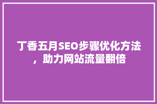 丁香五月SEO步骤优化方法，助力网站流量翻倍