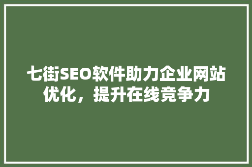 七街SEO软件助力企业网站优化，提升在线竞争力
