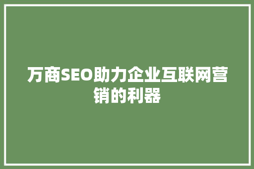 万商SEO助力企业互联网营销的利器