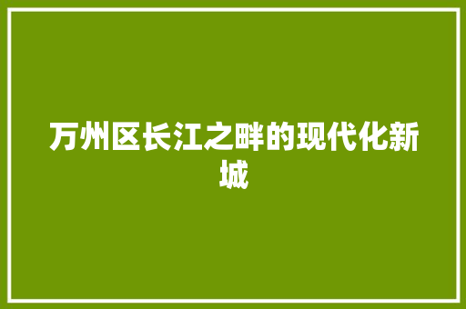 万州区长江之畔的现代化新城