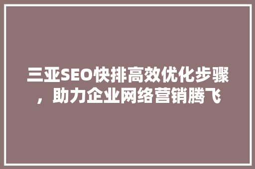 三亚SEO快排高效优化步骤，助力企业网络营销腾飞