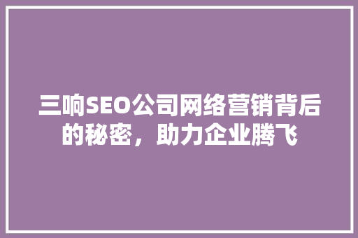 三响SEO公司网络营销背后的秘密，助力企业腾飞