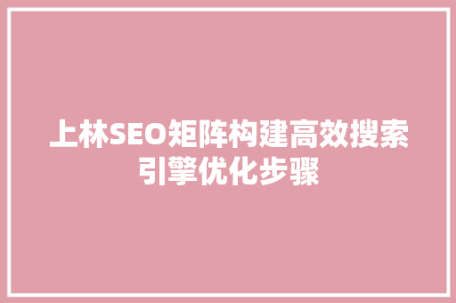 上林SEO矩阵构建高效搜索引擎优化步骤