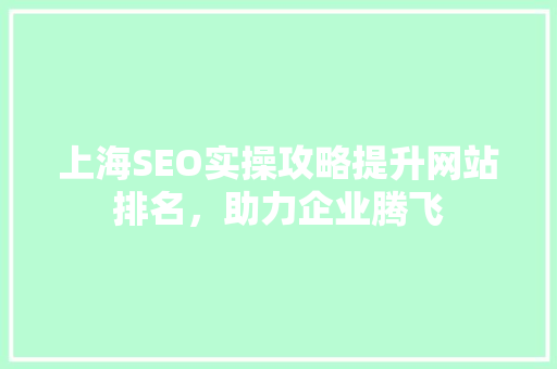 上海SEO实操攻略提升网站排名，助力企业腾飞