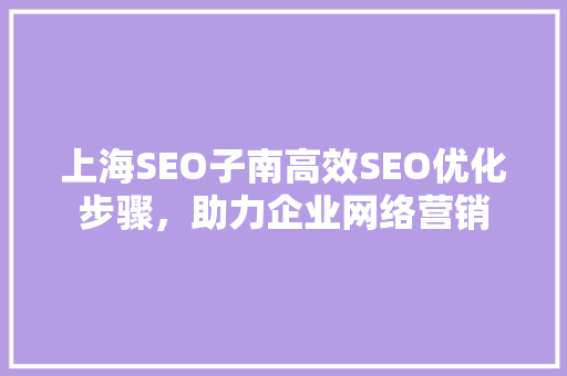 上海SEO子南高效SEO优化步骤，助力企业网络营销