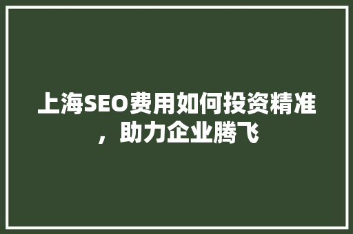 上海SEO费用如何投资精准，助力企业腾飞