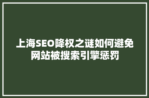 上海SEO降权之谜如何避免网站被搜索引擎惩罚