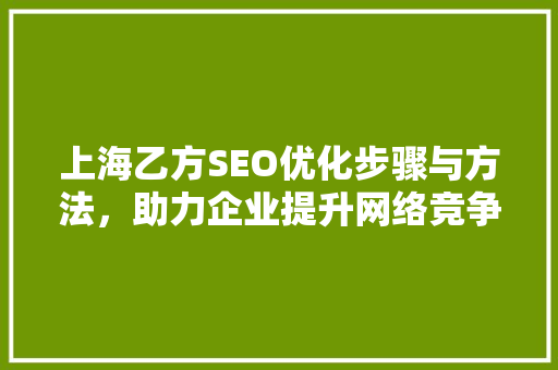上海乙方SEO优化步骤与方法，助力企业提升网络竞争力