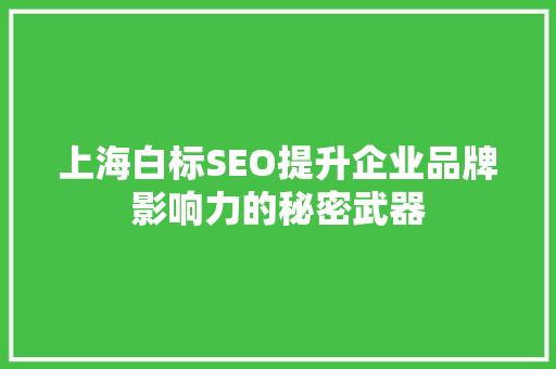 上海白标SEO提升企业品牌影响力的秘密武器