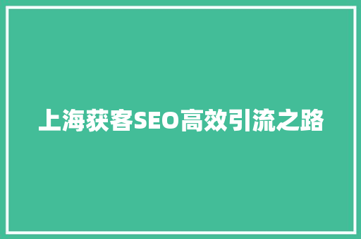 上海获客SEO高效引流之路