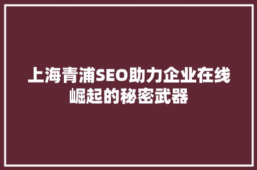 上海青浦SEO助力企业在线崛起的秘密武器