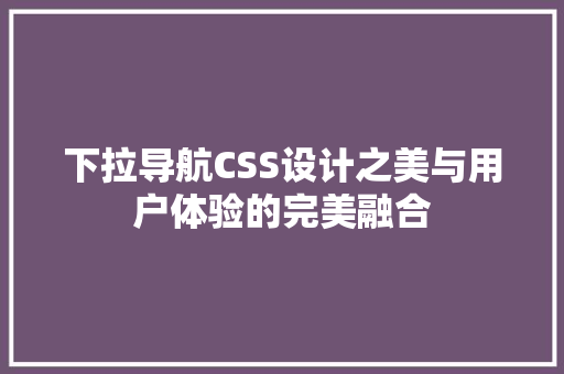 下拉导航CSS设计之美与用户体验的完美融合