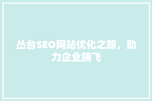 丛台SEO网站优化之路，助力企业腾飞