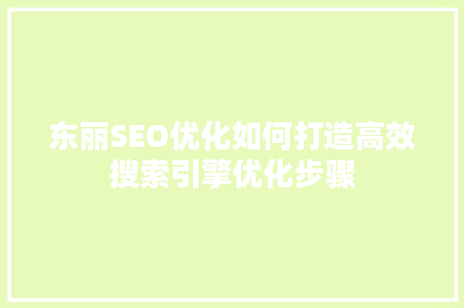 东丽SEO优化如何打造高效搜索引擎优化步骤