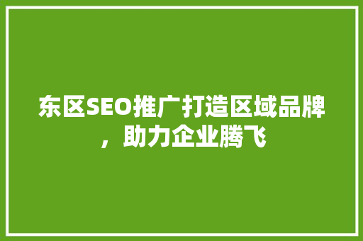 东区SEO推广打造区域品牌，助力企业腾飞