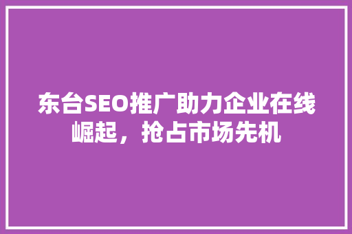 东台SEO推广助力企业在线崛起，抢占市场先机