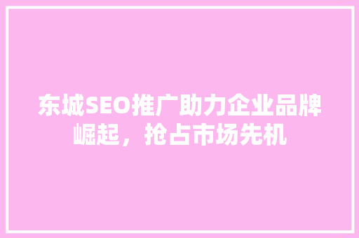 东城SEO推广助力企业品牌崛起，抢占市场先机