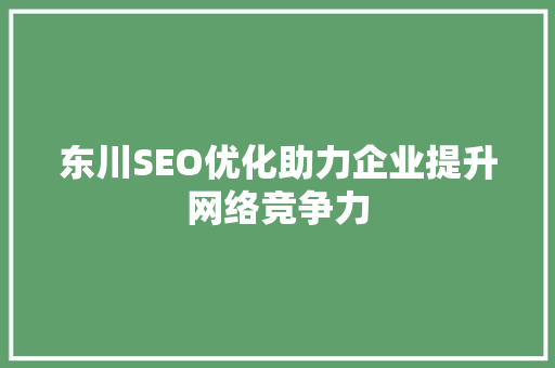 东川SEO优化助力企业提升网络竞争力