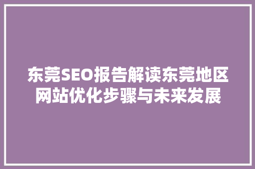 东莞SEO报告解读东莞地区网站优化步骤与未来发展