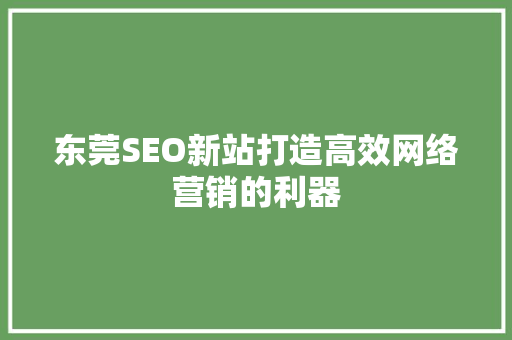 东莞SEO新站打造高效网络营销的利器