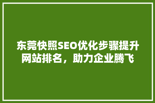 东莞快照SEO优化步骤提升网站排名，助力企业腾飞