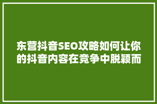 东营抖音SEO攻略如何让你的抖音内容在竞争中脱颖而出