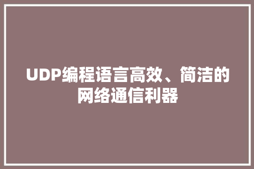 UDP编程语言高效、简洁的网络通信利器