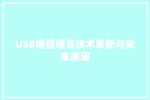 USB编程语言技术革新与未来展望