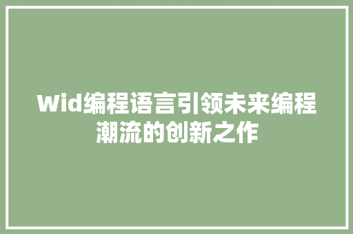 Wid编程语言引领未来编程潮流的创新之作