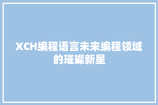 XCH编程语言未来编程领域的璀璨新星