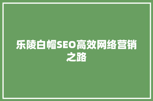 乐陵白帽SEO高效网络营销之路