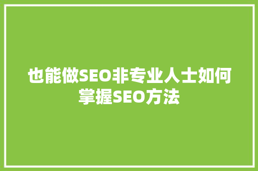也能做SEO非专业人士如何掌握SEO方法