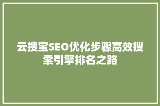 云搜宝SEO优化步骤高效搜索引擎排名之路