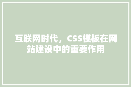 互联网时代，CSS模板在网站建设中的重要作用