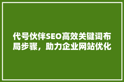 代号伙伴SEO高效关键词布局步骤，助力企业网站优化