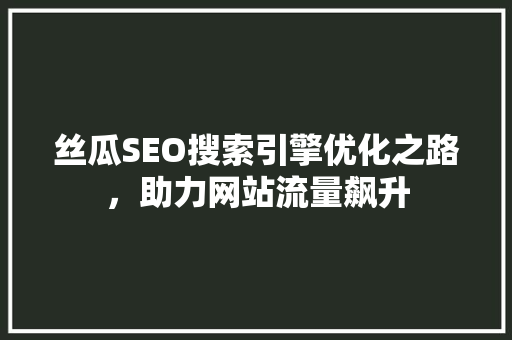 丝瓜SEO搜索引擎优化之路，助力网站流量飙升