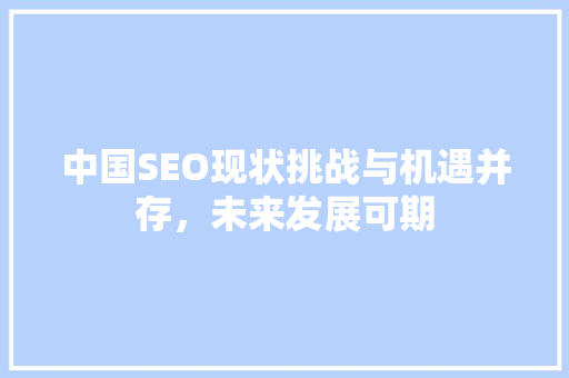 中国SEO现状挑战与机遇并存，未来发展可期