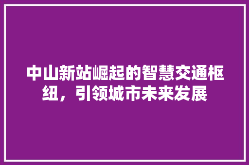 中山新站崛起的智慧交通枢纽，引领城市未来发展