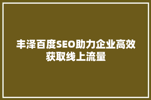 丰泽百度SEO助力企业高效获取线上流量