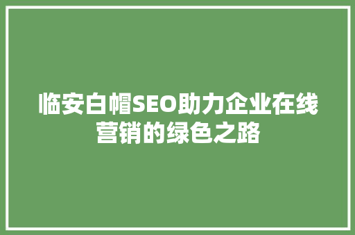 临安白帽SEO助力企业在线营销的绿色之路