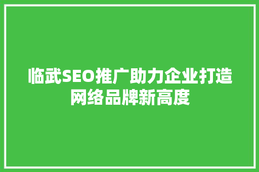 临武SEO推广助力企业打造网络品牌新高度