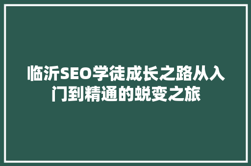 临沂SEO学徒成长之路从入门到精通的蜕变之旅