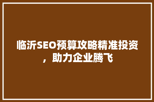 临沂SEO预算攻略精准投资，助力企业腾飞