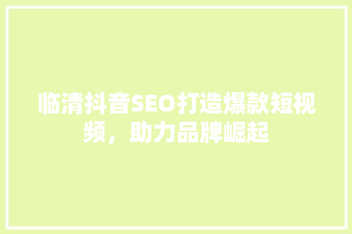 临清抖音SEO打造爆款短视频，助力品牌崛起
