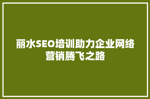 丽水SEO培训助力企业网络营销腾飞之路